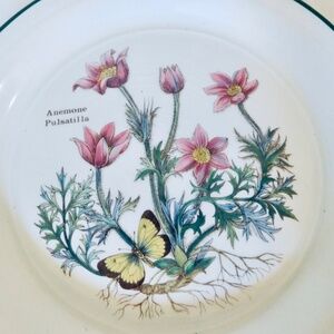 Wedgwood Florabunda Tunstall 8" Plate For display or use Anemone & butterflies